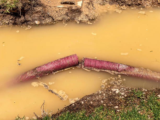 Best Wood Floor Water Damage Restoration in Lyman, WY